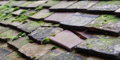 Blagdon roof repair costs
